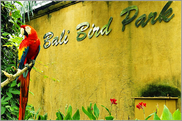 Достопримечательности Бали: Балийский парк птиц