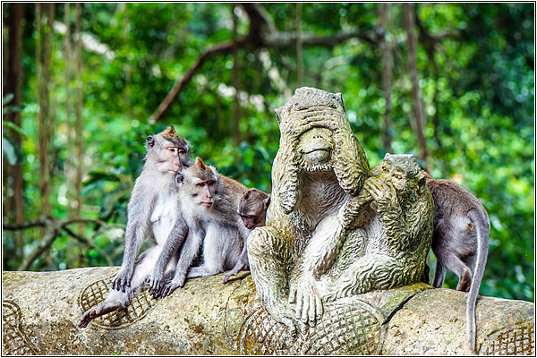 Достопримечательности Бали: Лес обезьян в Убуде