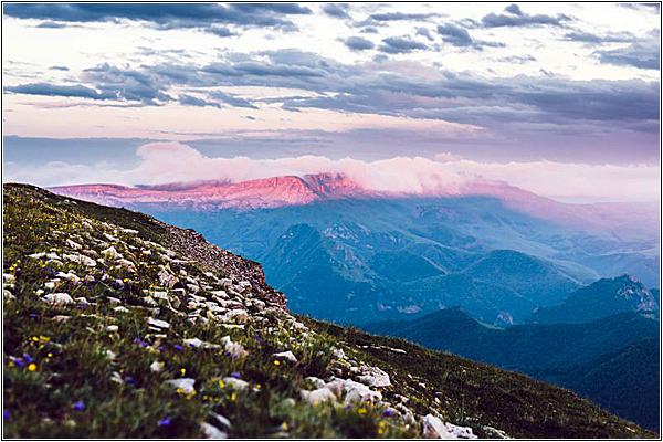 Цветущие альпийские луга на плато Бермамыт