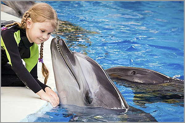 Отдых в Сочи с детьми: Большой Сочинский дельфинарий