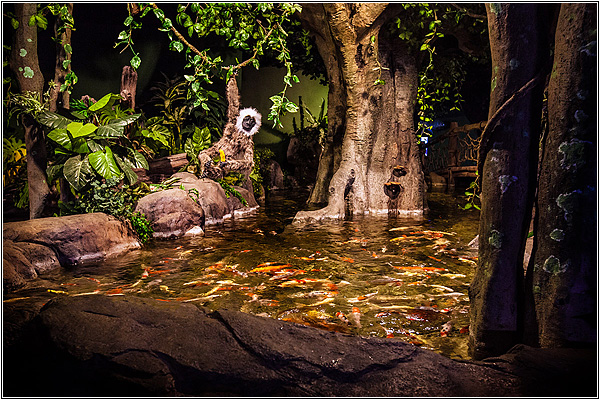 Тропический лес в Sochi Discovery World Aquarium