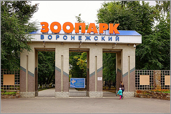 Выходные в Воронеже: развлечения для детей