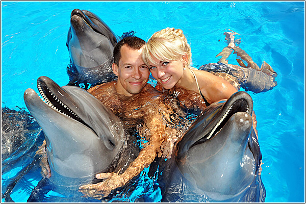 Самые популярные семейные экскурсии на Пхукете: Дельфинарий Немо