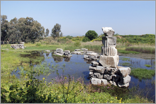 Руины Храма Артемиды Эфесской в болоте