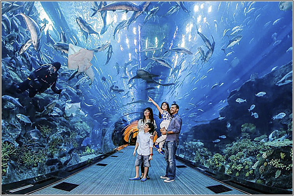 Отдых с детьми в Дубае: Аквариум Дубай (Dubai Aquarium and Underwater Zoo)