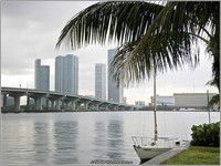 Майами - столица финансов и бизнеса