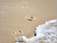 Песок и море