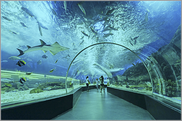Manila Ocean Park на Филиппинах