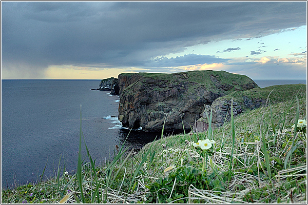 Курильские острова: Шикотан