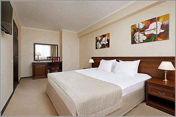 Номер в Бизнес-Отеле Континент