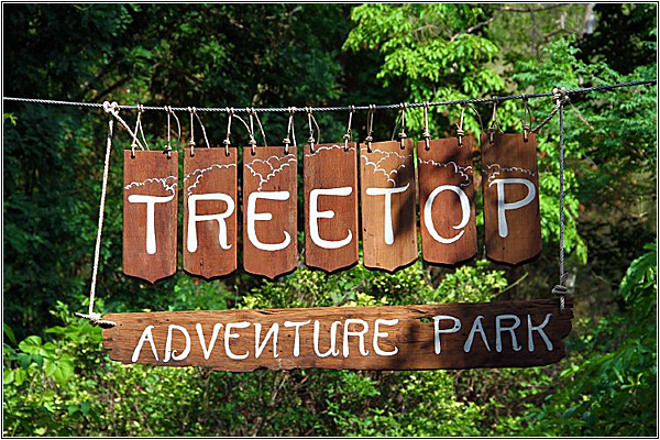 Самые экстремальные экскурсии в Паттайе: Полет Тарзана