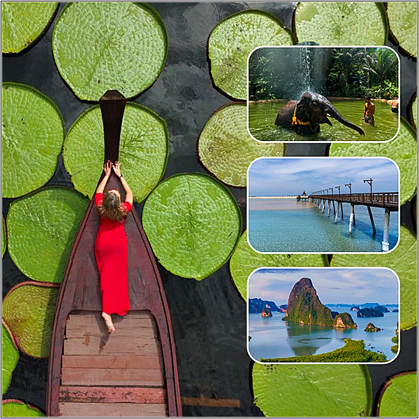 Самые популярные экскурсии на Пхукете: Мир Аватара