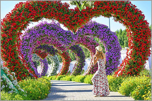 Самые популярные экскурсии в Дубае: Парк цветов Miracle Garden