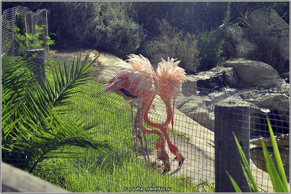 Friguia Animal Park Friguia Animal Park