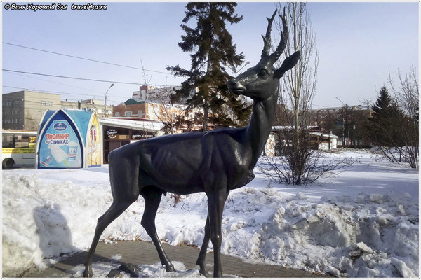 Олень в Омске