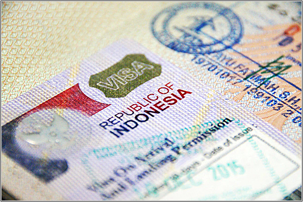 B1 и D12: в чем отличие и сколько стоит виза на Бали в 2026 году?