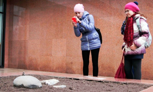 Памятник 
лягушке-путешественнице